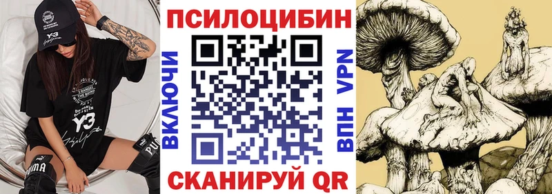 Галлюциногенные грибы Psilocybine cubensis  закладка  Нерехта 